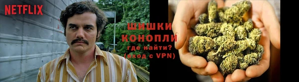 мдма Богданович