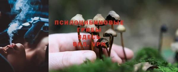 мяу мяу кристалл Богородицк